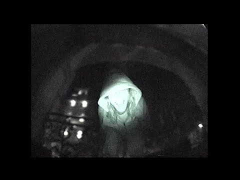 BORON - CTRL C + V