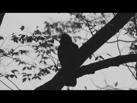 kartky feat. big scythe - błędny rycerz (prod. ramzes)