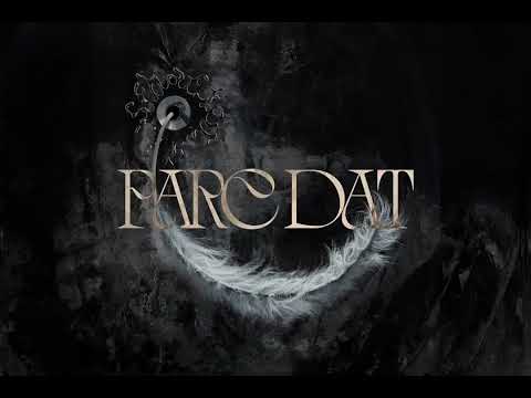 schafter - parę dat