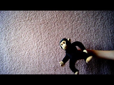 po prostu Kajtek - Neanderthalensis