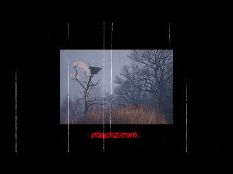 40 SEKUND O MOIM ŻYCIU - Kamil