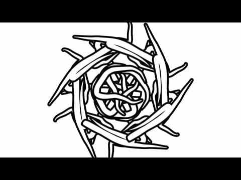 Czasin  - Upalony narcyz  [ Full album ]  2k16
