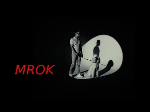 TEABE - MROK (MERCURY X WARDZA20K)