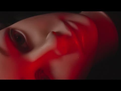 ZETENWUPE x GORGONZOLLA - Nie miała 2025