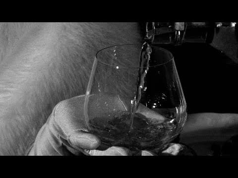 Kwiatek Haze - Mąż Stanu