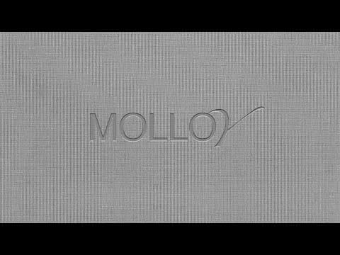 BISZ - MOLLOY (prod. Szatt) ft. Klaudia Marzec