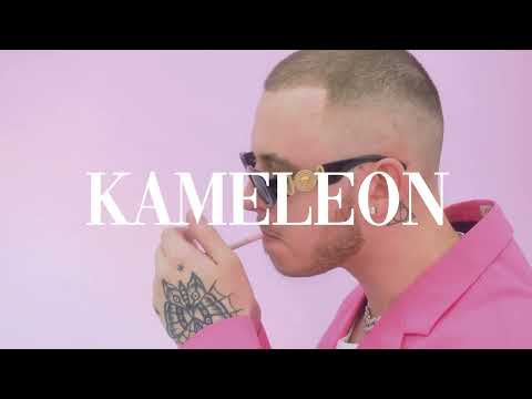 PlanBe & Sir Mich feat. Mr. Polska - Kameleon