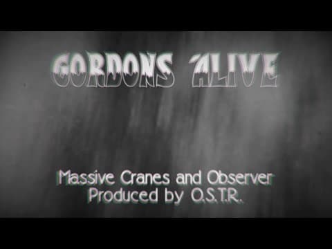 Massive Cranes and Observer - Gordons Alive (Lyric V...