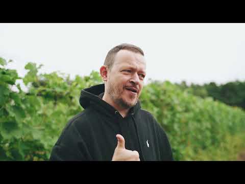 Winem Powiśle: Lis 2020 - premiera w Winnicy Dwórzno