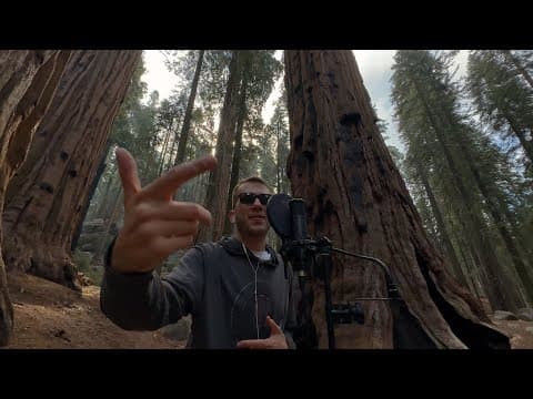 FLINT - Studio wszędzie #33 (Sequoia National Park) ...