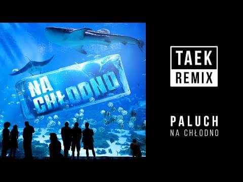 Paluch - Na Chłodno (Dj Taek Remix)