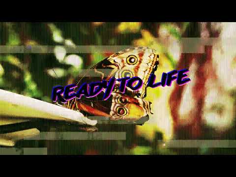 Adi Paw feat. Lurza - Na Tip Top (cuty WZK, prod. Zb...