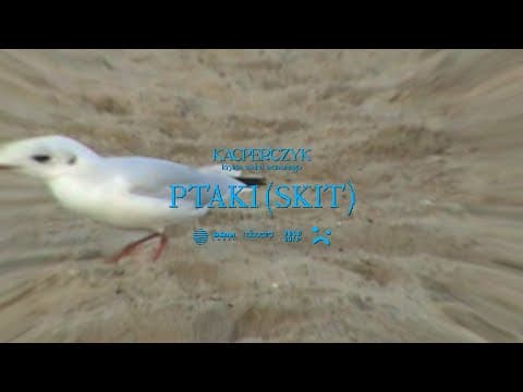 Kacperczyk - Ptaki (skit)