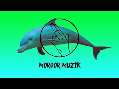 MAJKIZIOOM x GINGER - DELFIN (MOM046)
