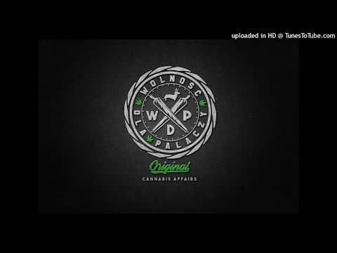 Gizmo WDP - (stare) dreszcze w pipach