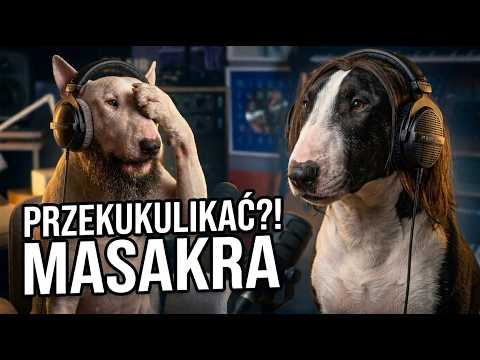 2GŁUPIEPSY - PIES TOMEK (S01.E04)