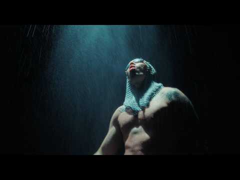 VAE VISTIC - D.
