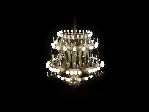 Tymek “Praga - Wiedeń”