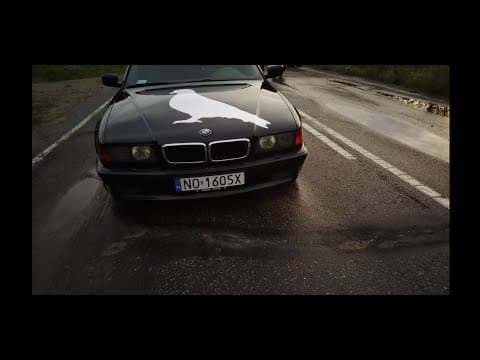 Kiełas - FOTOGRAF