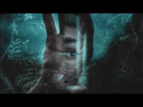 WZÓR - LOOK