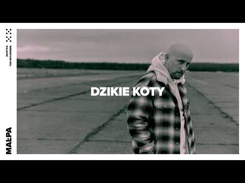 Małpa - Dzikie koty (prod. The Returners)