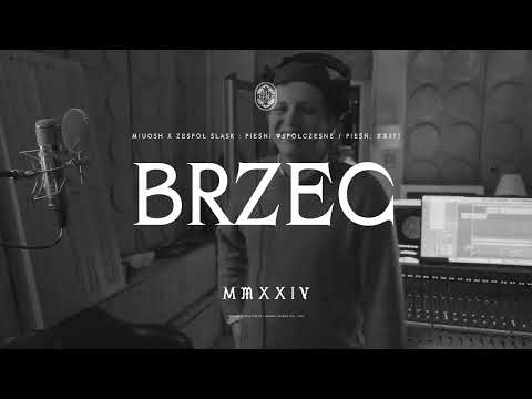 Maciej Musiałowski - Brzeg  (MIUOSH x ZESPÓŁ ŚLĄSK -...