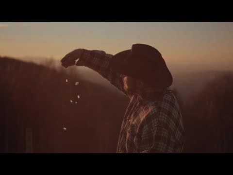 Kartky - Sandman