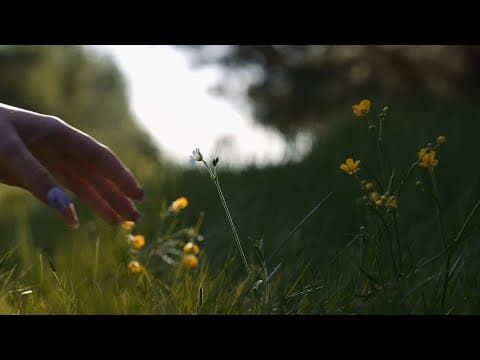 Kinny Zimmer - Jestem kwiatkiem