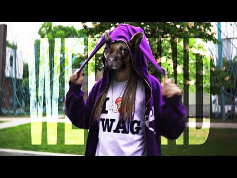 OZZY BABY - WEEKEND