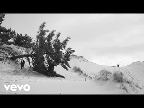 Deemz - Kruki (feat. Sarius, Beata Kozidrak)