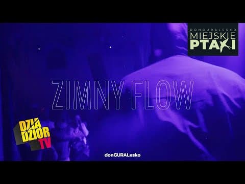 donGURALesko - Zimny Flow (prod. Look.out, skrecze D...