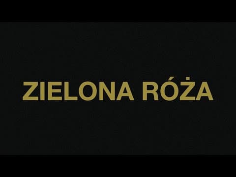 Sokół / Hades / Sampler Orchestra - Zielona róża (au...