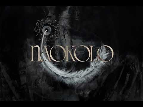 schafter - naokoło