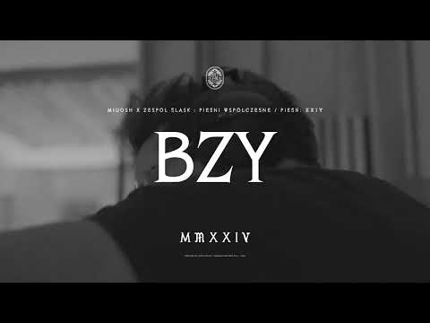Krzysztof Zalewski - Bzy  (MIUOSH x ZESPÓŁ ŚLĄSK - P...